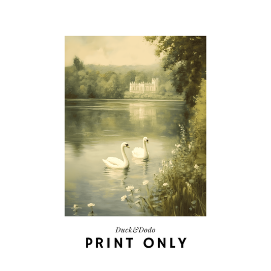 Swans with Castle Print