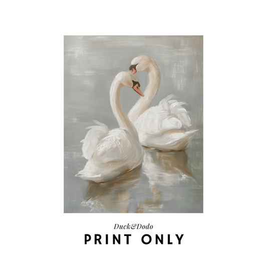 Two white swans print