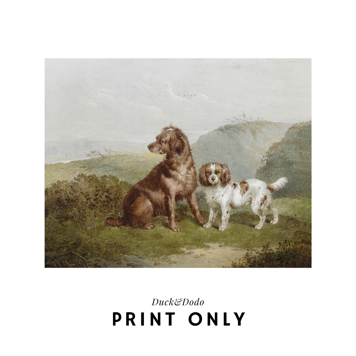 Vintage Dogs in Field Print