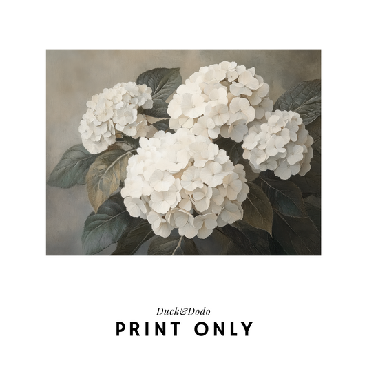 Hydrangea Print