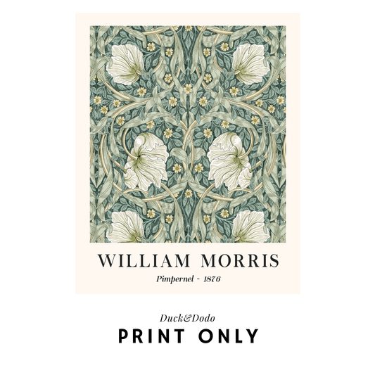 William Morris Pimpernel