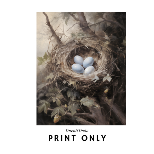 Eggs in Nest Print