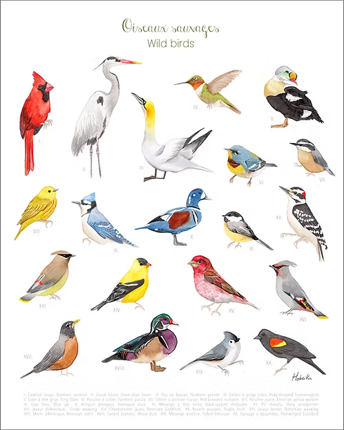 Wild Birds Print 8x10