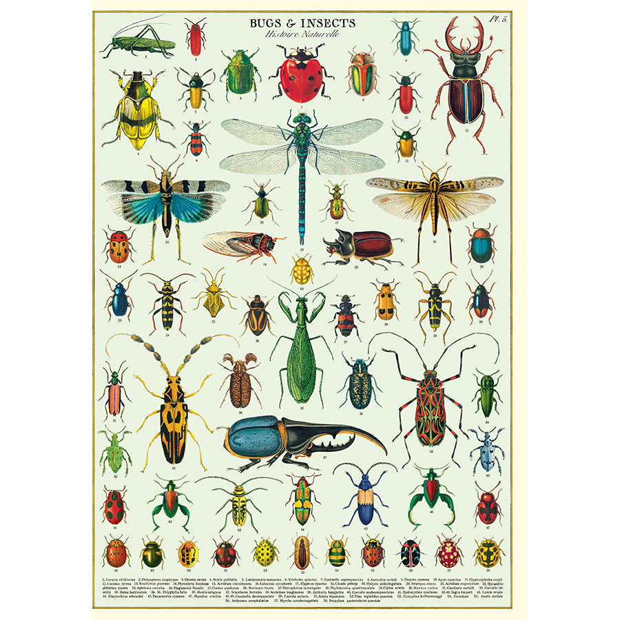 Bugs & Insects Wrap