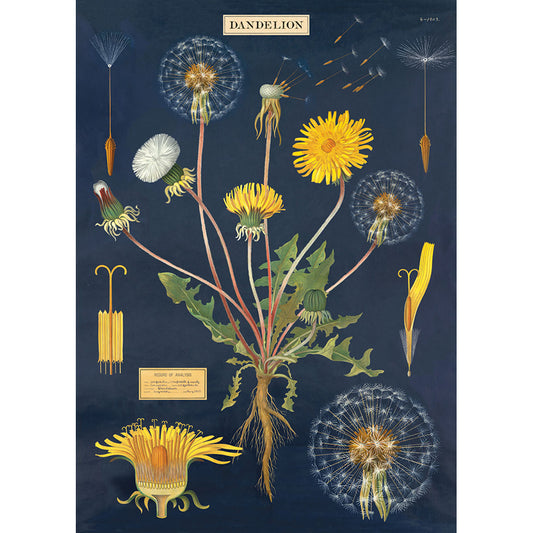 Dandelion Chart Wrap