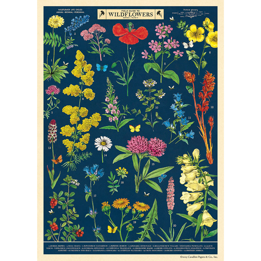 Field Guide to Wildflowers Wrap