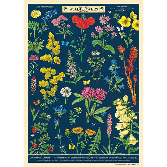Field Guide to Wildflowers Wrap