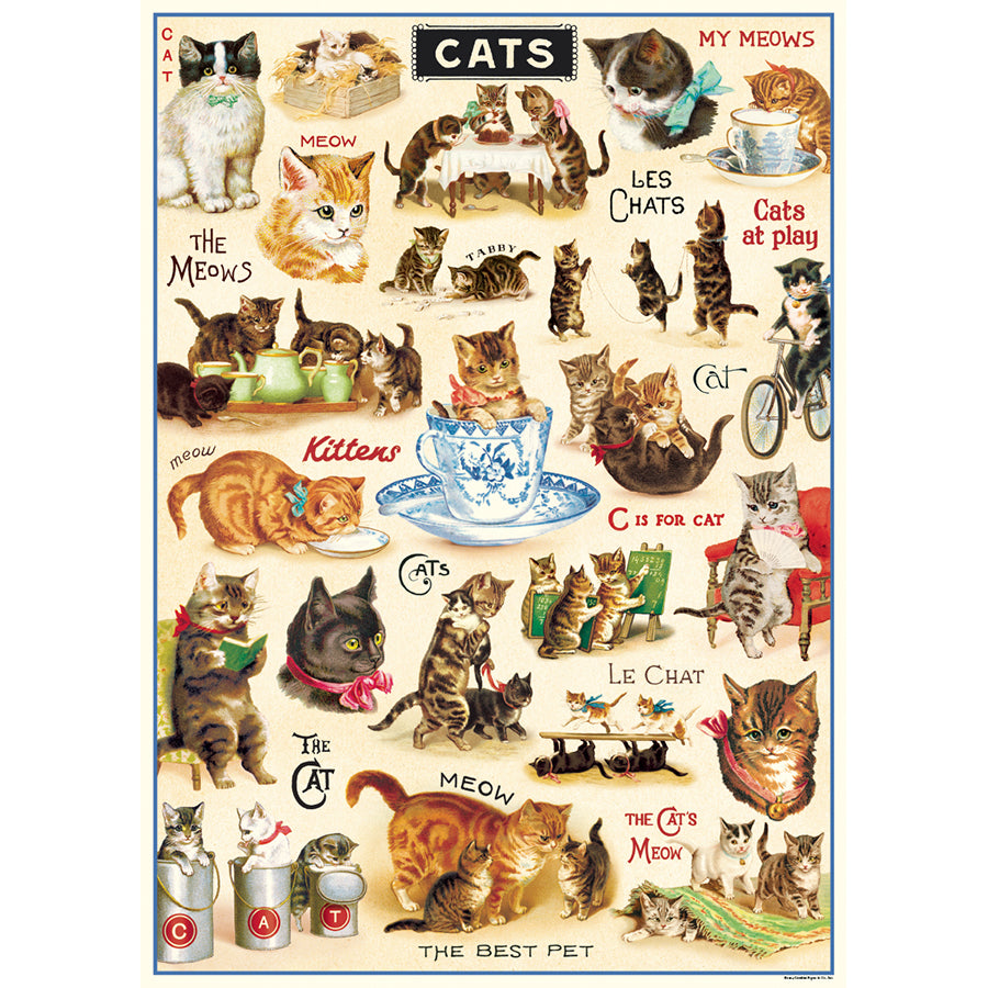 Vintage Cat Wrap