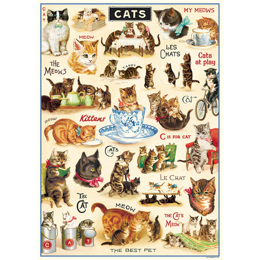 Vintage Cat Wrap
